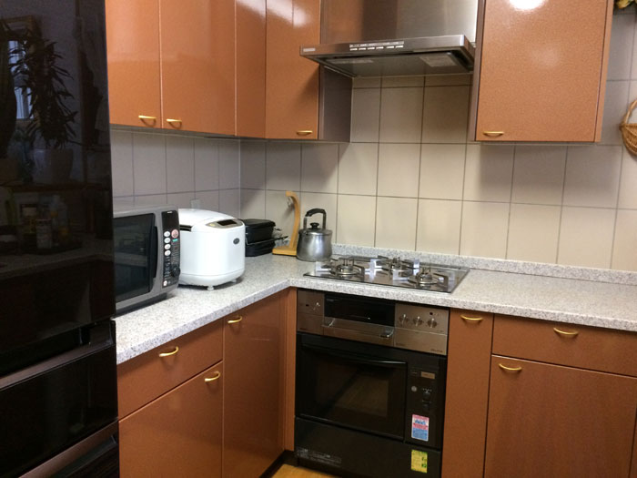 20180913_01_a キッチンの取っ手を変えたら、キラキラの目立った存在になりビックリ(レオ様)