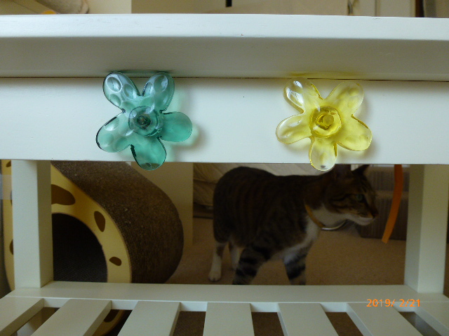 20190227 思ったよりも、もっと可愛くて感激です(ポコペン弁当様)