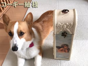20210608_2 とっておきのワインをこのケースに入れて(コーギー紬様)