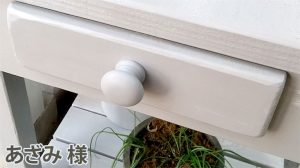 ペイントして使わせていただきました。(あざみ様)